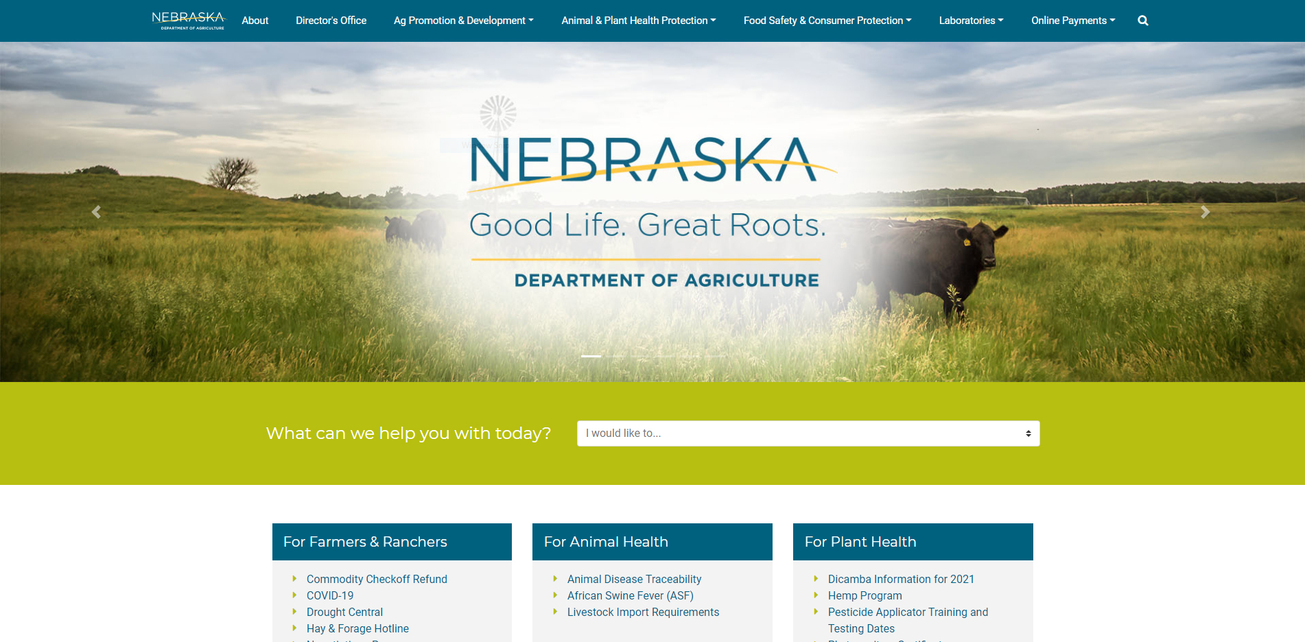 NDA Website